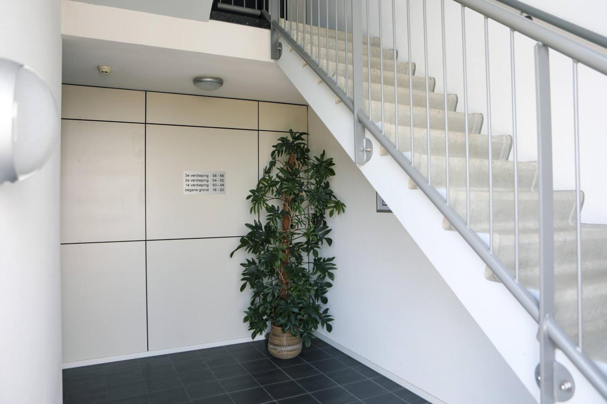 Strand Appartementen Wemeldinge Exteriér fotografie