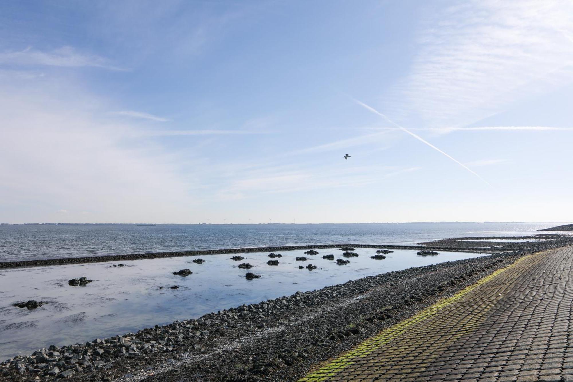 Strand Appartementen Wemeldinge Exteriér fotografie